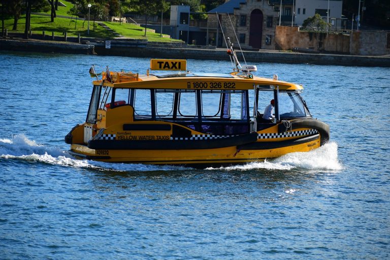 Работа водителем в Ташкенте без лицензии