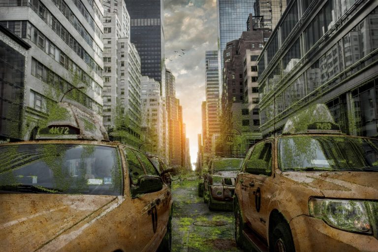 Работа в Яндекс Такси ночью без стажа в Ташкенте